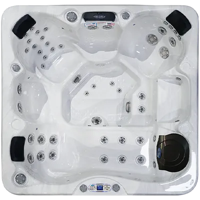 Avalon EC-849L hot tubs for sale in Schenectady