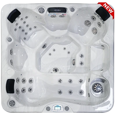 Avalon-X EC-849LX hot tubs for sale in Schenectady