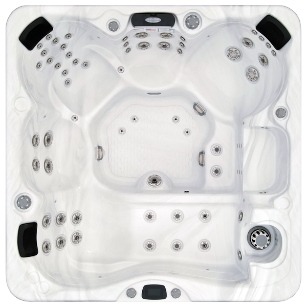 Avalon-X EC-867LX hot tubs for sale in Schenectady