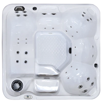 Hawaiian PZ-636L hot tubs for sale in Schenectady